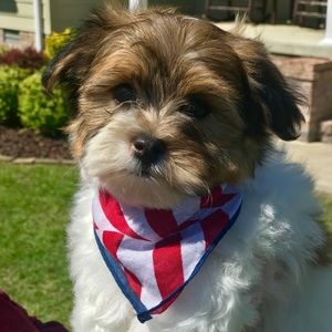 Meet your Posher, Donna